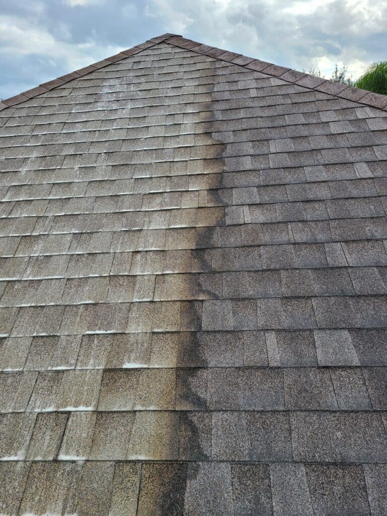 Roof Washing Services in Babylon, NY